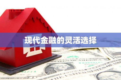 自流井现代金融的灵活选择